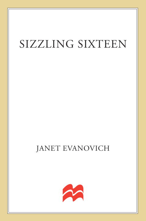 Cover image for book Sizzling Sixteen