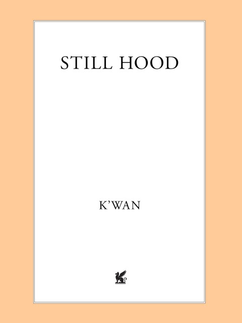 Cover image for book Still Hood
