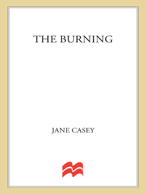 Cover image for book The Burning