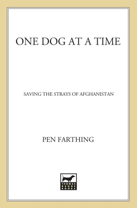 Cover image for book One Dog at a Time