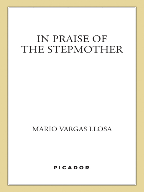 Cover image for book In Praise of the Stepmother