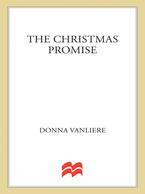 Cover image for book The Christmas Promise
