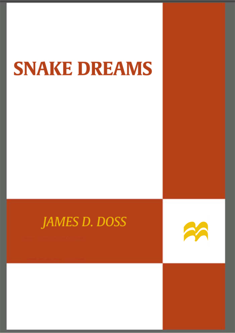 Cover image for book Snake Dreams