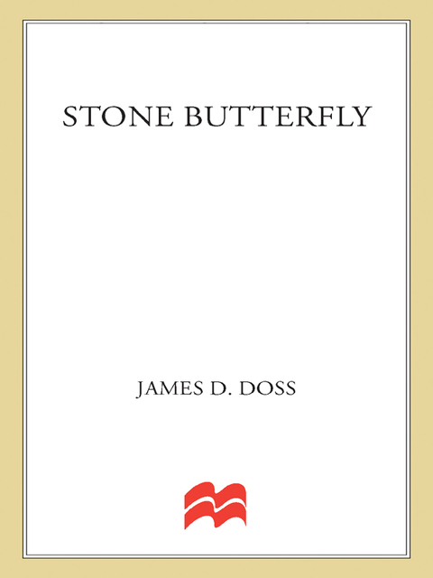 Cover image for book Stone Butterfly