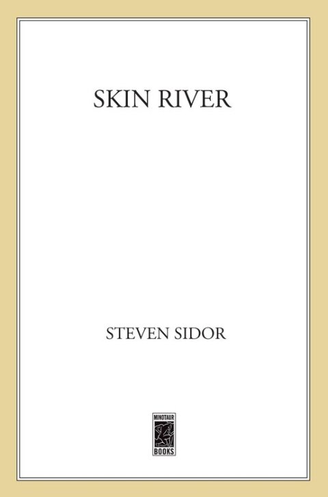 Cover image for book Skin River