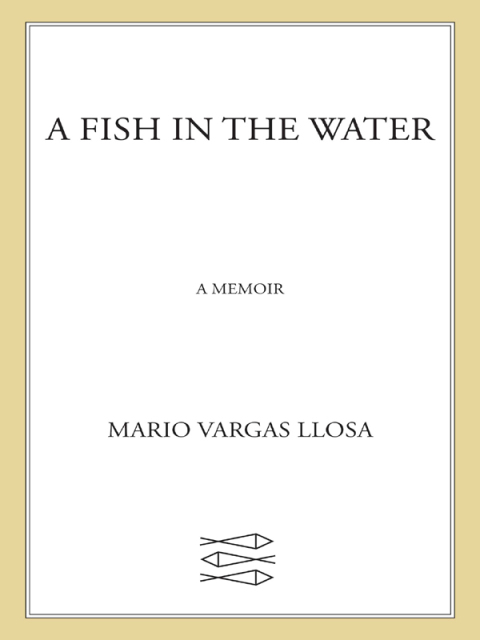 Cover image for book A Fish in the Water