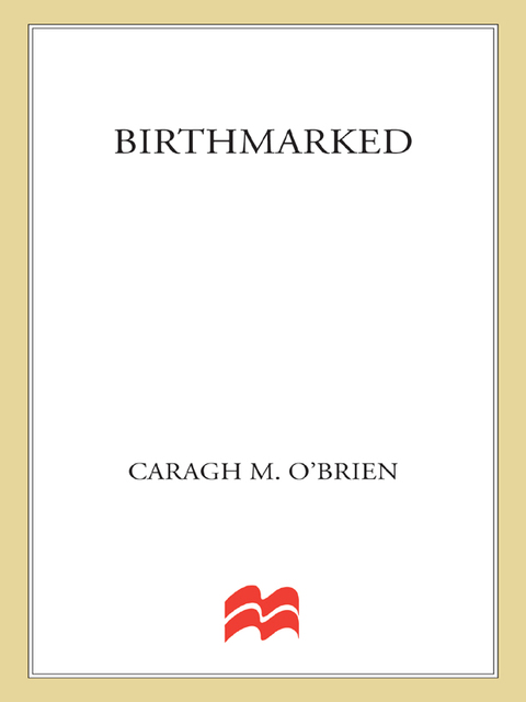 Cover image for book Birthmarked