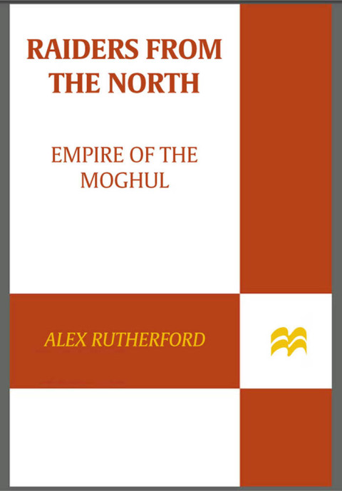 Cover image for book Raiders from the North