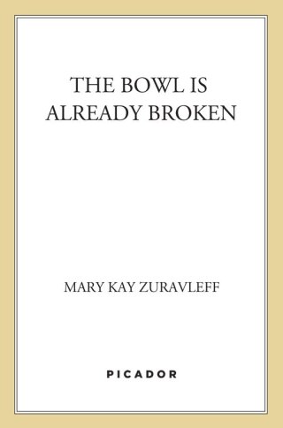 The Bowl Is Already Broken