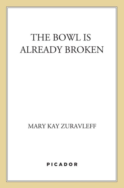 Cover image for book The Bowl Is Already Broken