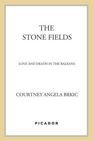 The Stone Fields