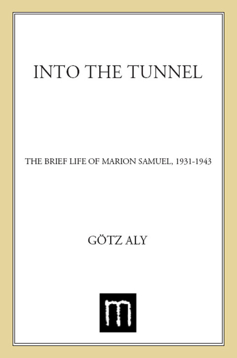 Cover image for book Into the Tunnel