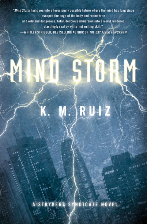 Cover image for book Mind Storm