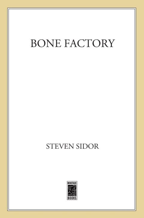 Cover image for book Bone Factory