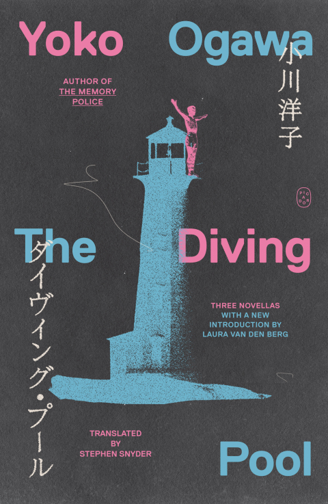 Cover image for book The Diving Pool
