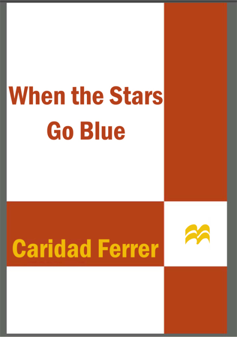 Cover image for book When the Stars Go Blue