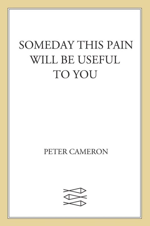 Cover image for book Someday This Pain Will Be Useful to You