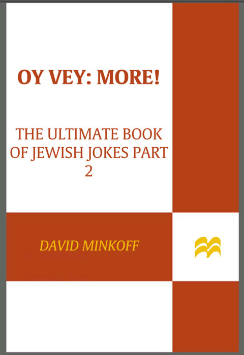 Cover image for book Oy Vey: More!