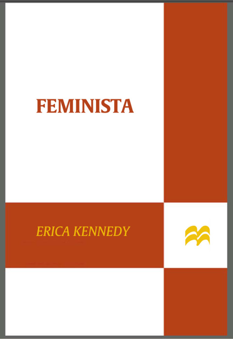 Cover image for book Feminista