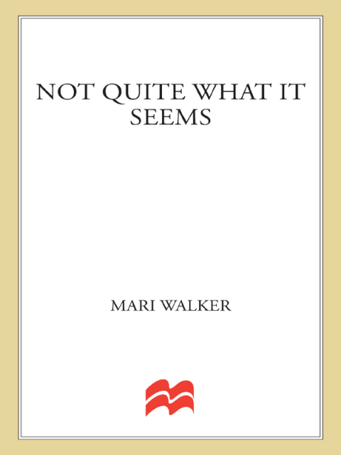 Cover image for book Not Quite What It Seems