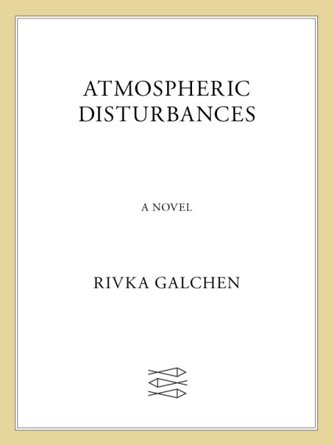 Cover image for book Atmospheric Disturbances