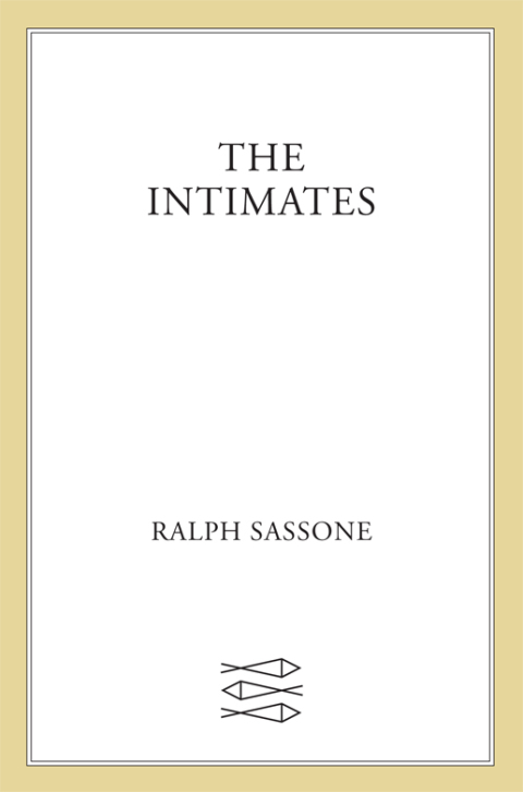 Cover image for book The Intimates