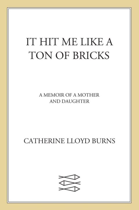 Cover image for book It Hit Me Like a Ton of Bricks