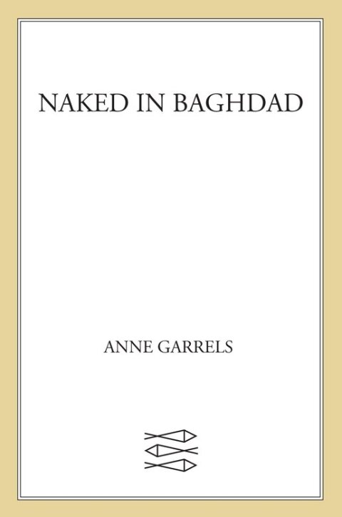 Cover image for book Naked in Baghdad