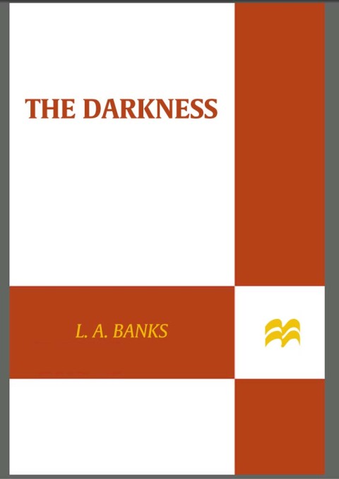 Cover image for book The Darkness