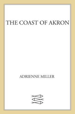 The Coast of Akron