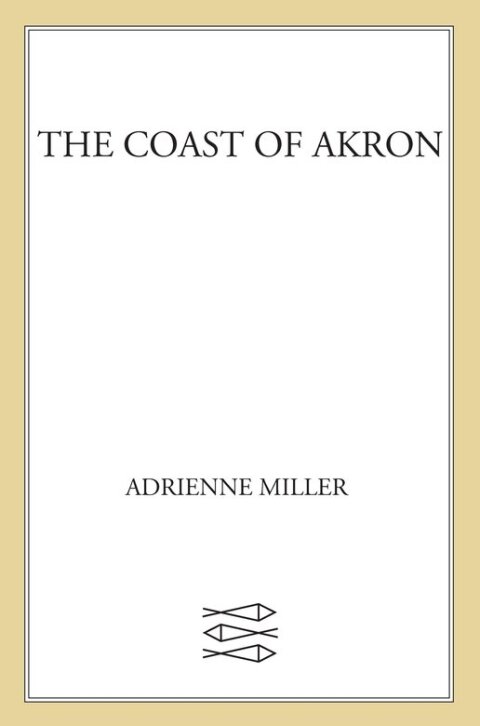 Cover image for book The Coast of Akron