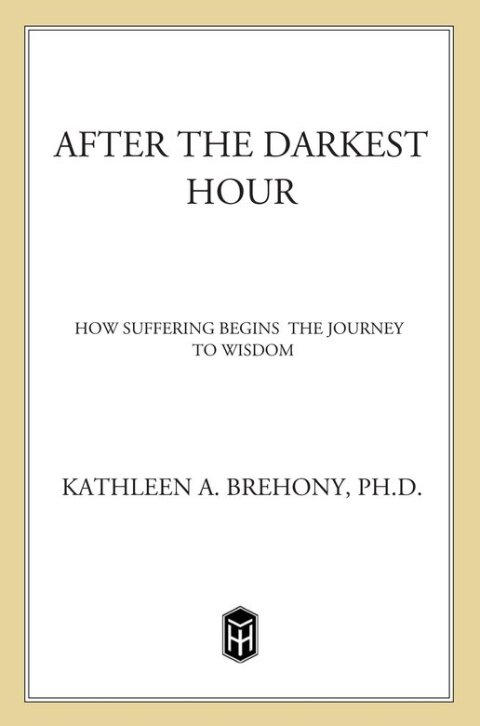 Cover image for book After the Darkest Hour
