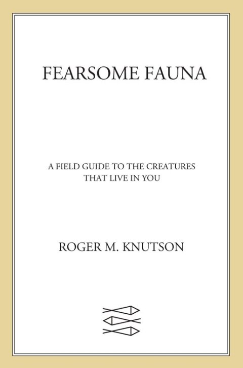 Cover image for book Fearsome Fauna