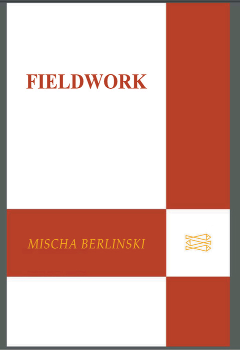 Cover image for book Fieldwork
