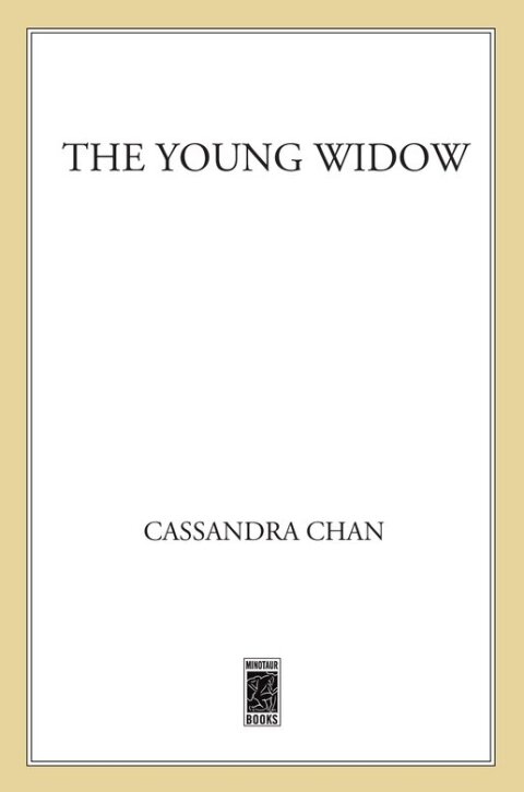 Cover image for book The Young Widow
