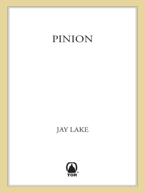 Cover image for book Pinion