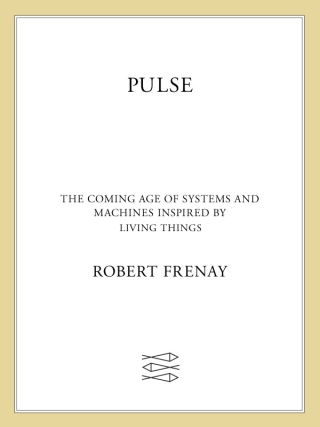 Pulse