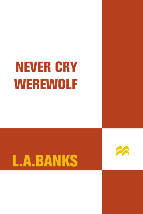 Cover image for book Never Cry Werewolf