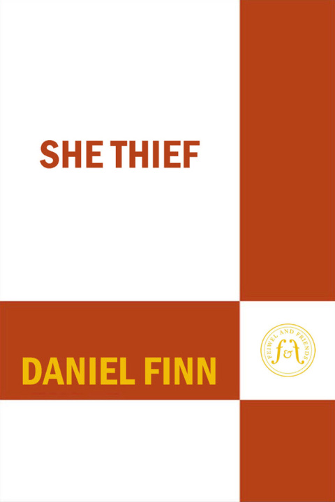 Cover image for book She Thief