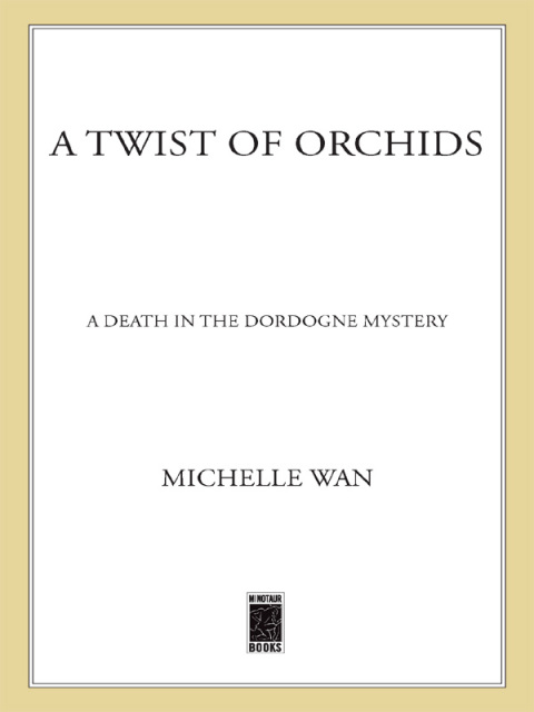 Cover image for book A Twist of Orchids