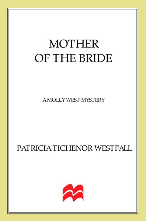 Cover image for book Mother of the Bride