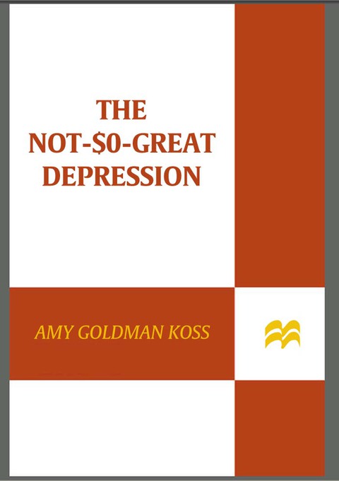 Cover image for book The Not-So-Great Depression