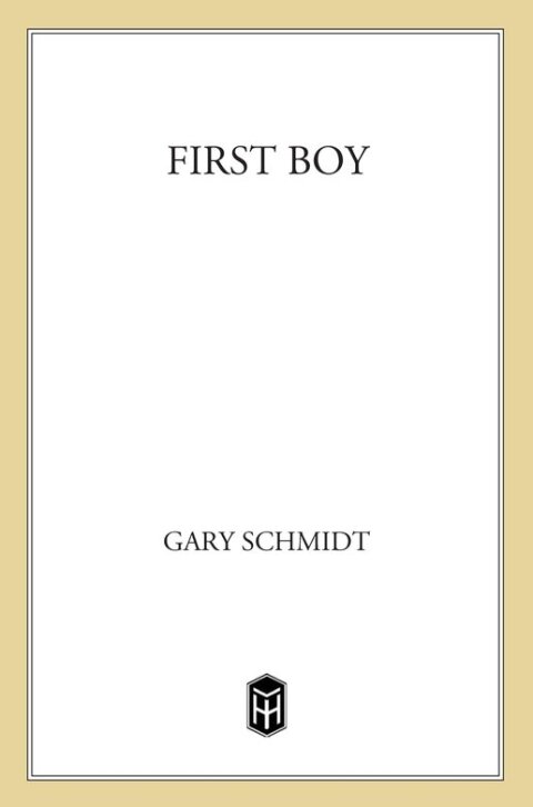 Cover image for book First Boy