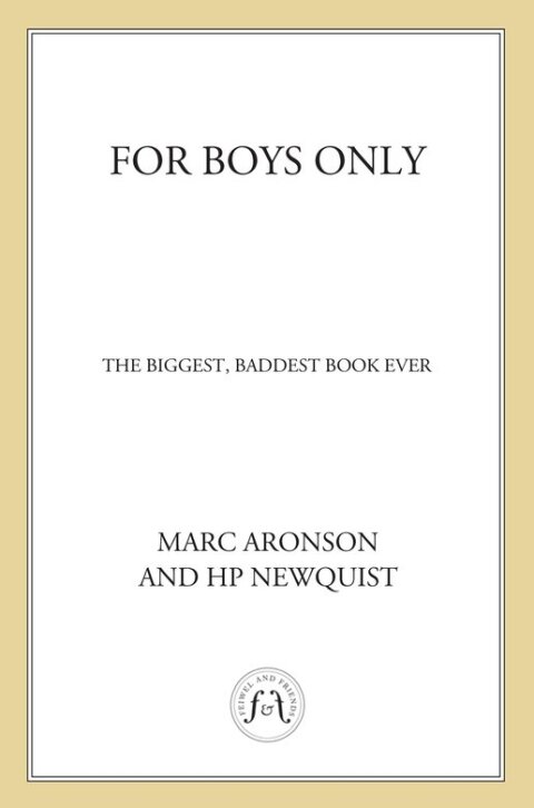 Cover image for book For Boys Only