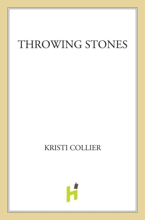 Cover image for book Throwing Stones