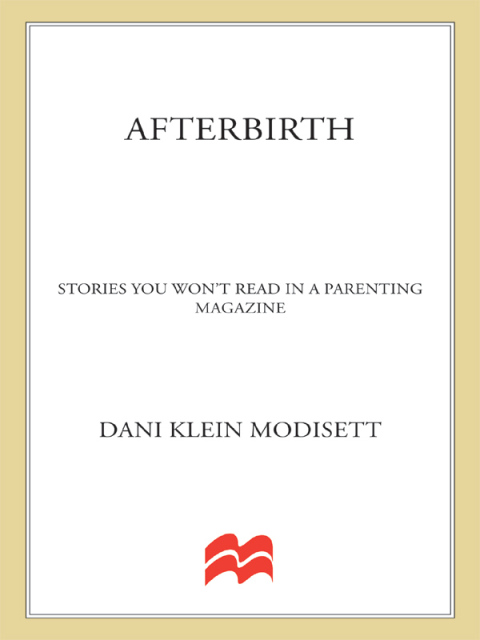 Cover image for book Afterbirth