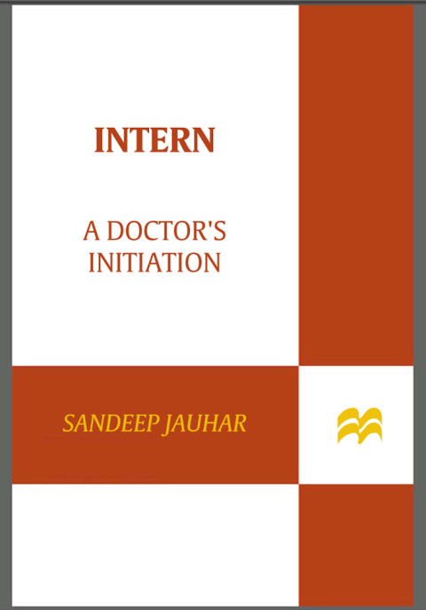 Cover image for book Intern