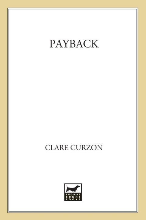 Cover image for book Payback