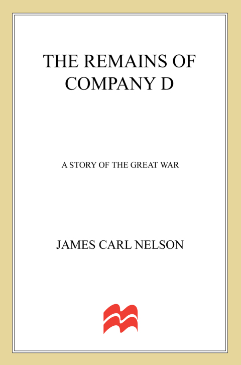 Cover image for book The Remains of Company D
