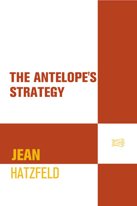 Cover image for book The Antelope's Strategy